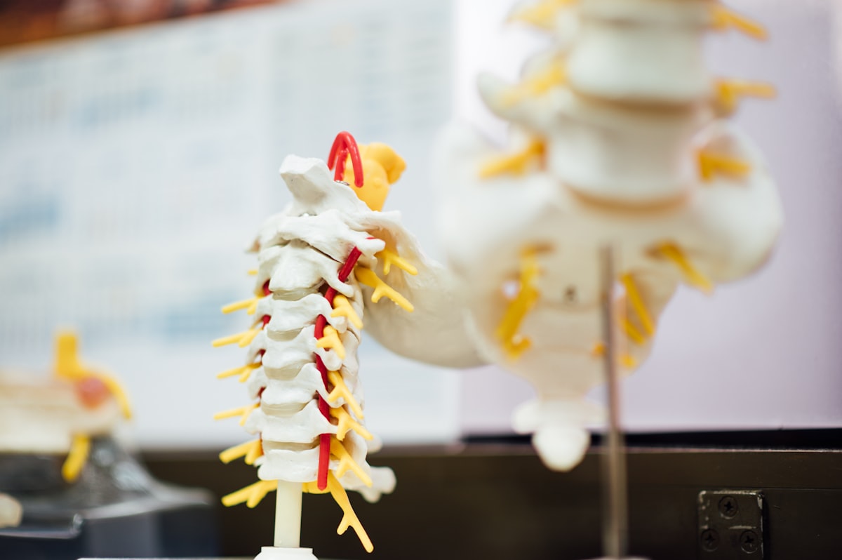Chiropractic Care for Correcting Neck Pain and Whiplash