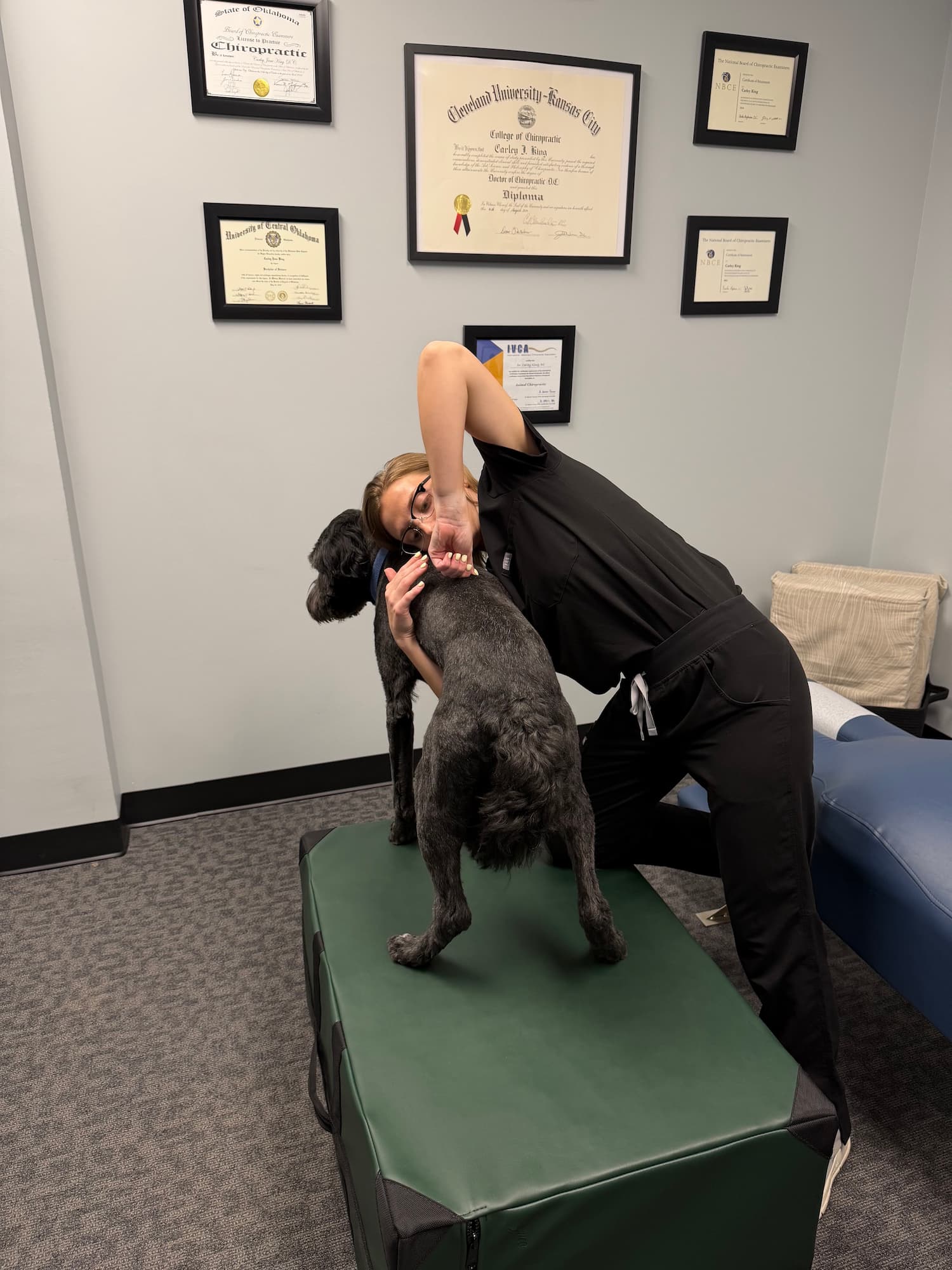 Animal Chiropractic at the Frost Chiropractic clinic in Tulsa