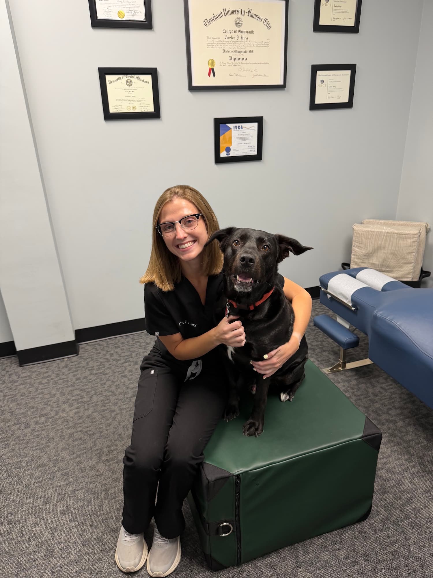 Animal Chiropractic at the Frost Chiropractic clinic in Tulsa